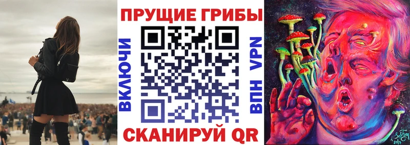 Псилоцибиновые грибы Psilocybe  Купить где  Рассказово 